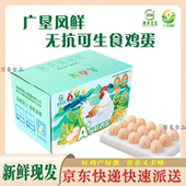 广东农垦鸡蛋礼盒装 凤鲜无抗生素可生食无沙门氏菌新鲜高品质