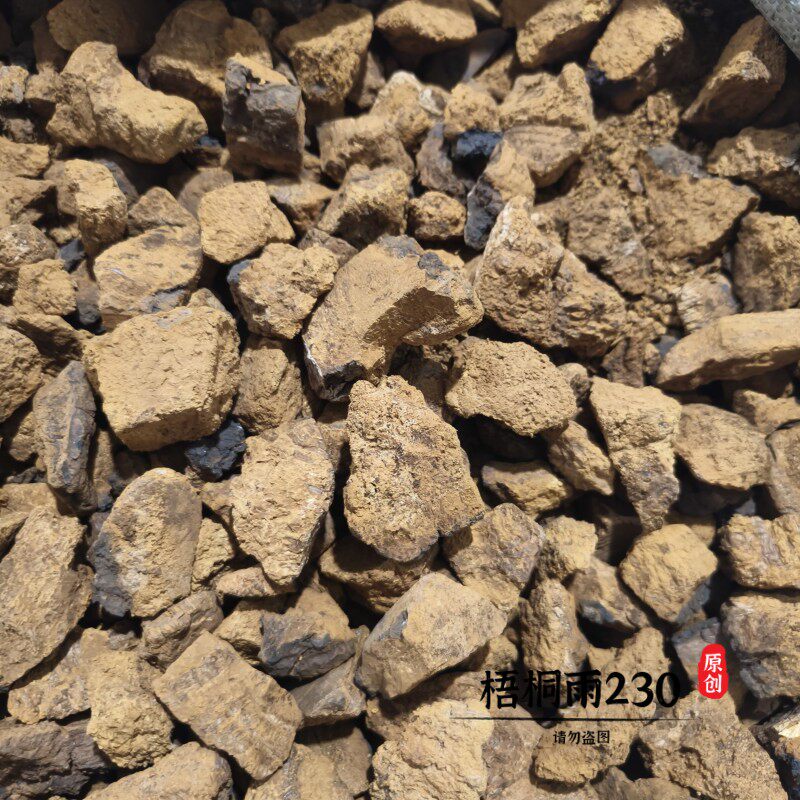 中药材 桦树茸500克 g 东北长白山白桦茸 包邮