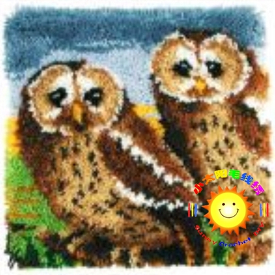 Latch Hook段段绣 /毛线绣/抱枕/ 钩针绣/ 绒绣小太阳/两只猫头鹰