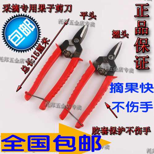 农用采摘水果枝条园艺柑桔子剪刀