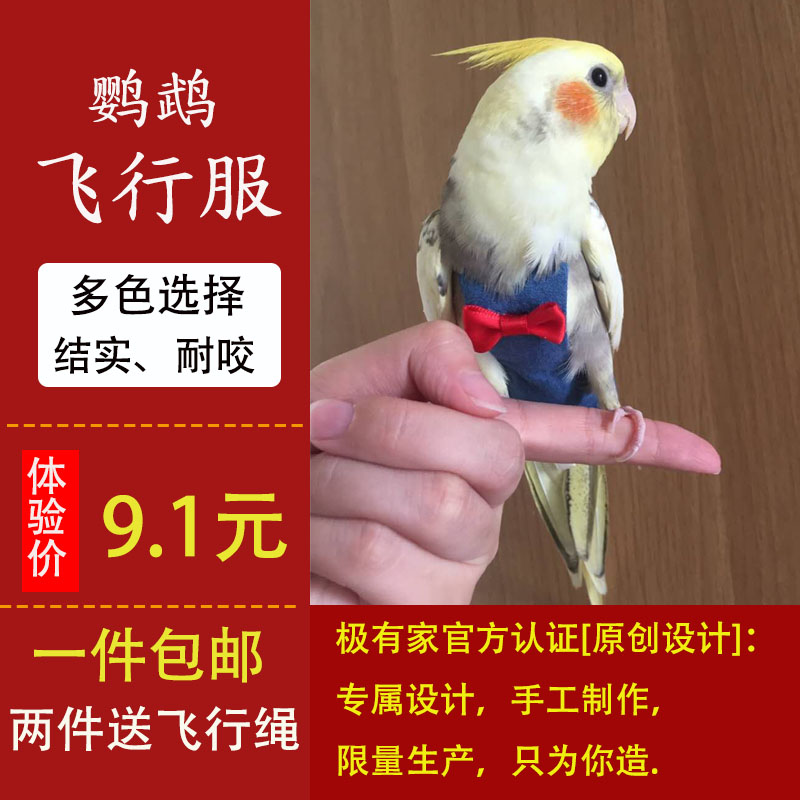 百变宠衣鹦鹉衣服 虎皮玄风尿不湿屎兜尿布尿裤鸟用飞行服装