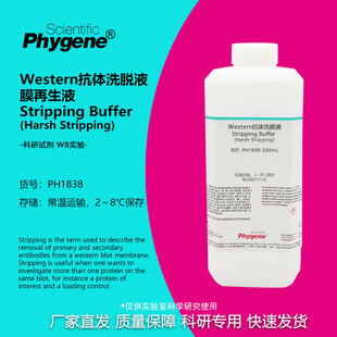 Western抗体洗脱液 膜再生液 Harsh Stripping 抗体剥离去除液