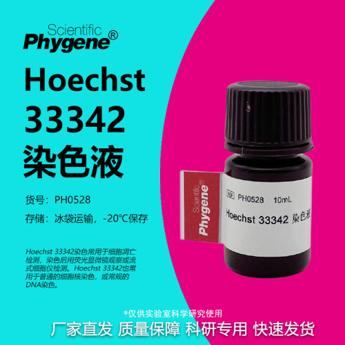 Hoechst33342染色液