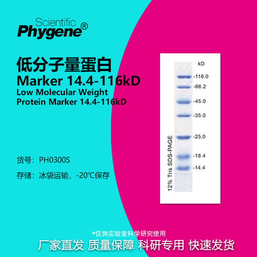 低分子量蛋白质Marker14.4-116kD