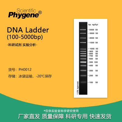 核酸电泳DNAMarker100-5000bp