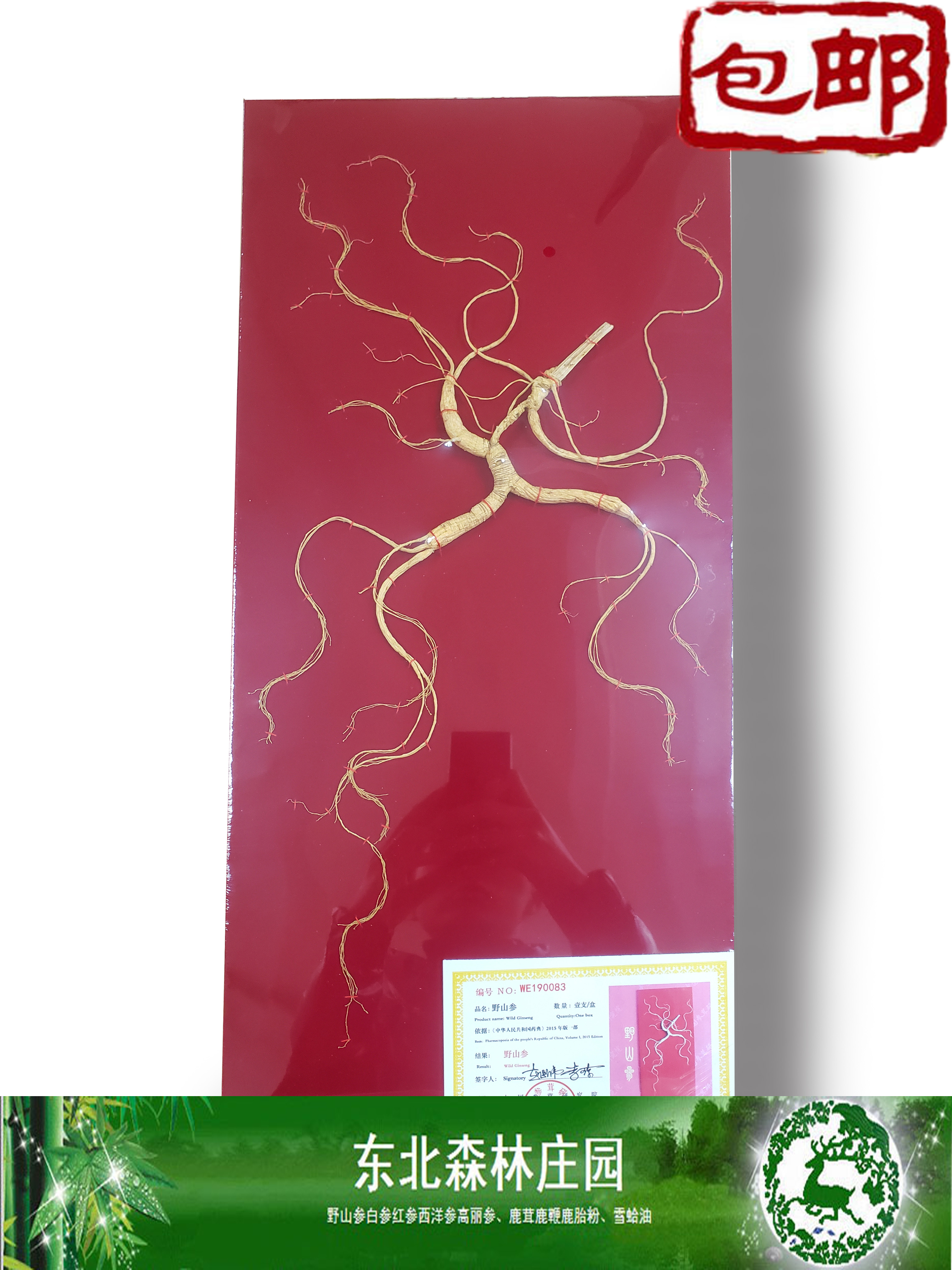 长白山送礼林下参