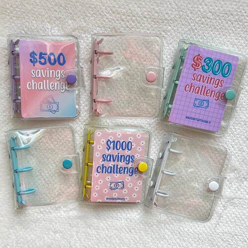 Mini Binder Savings Challenge budget planner money organizer