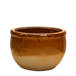 个性大号睡莲碗莲缸水养铜钱草绿萝富贵竹陶瓷花盆无孔高款养鱼缸