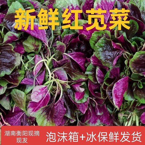 湖南衡阳本地时令新鲜蔬菜红苋菜农家自种新鲜红苋菜汉菜