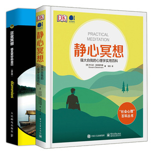 正念冥想 心理学实用百科 遇见更好 自己 心灵修养治愈系正能量心灵读物生活减压强迫症抑郁症治疗书 静心冥想 第2版 自我
