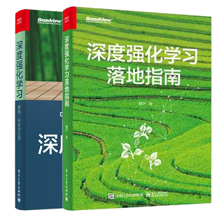 需求分析算法选择方法训练调试和性能冲刺技巧 深度强化学习落地指南 研究与应用 深度强化学础 深度强化学习落地实践工程方法论书