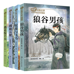 黑鹤动物文学名师导读全彩珍藏版狼谷男孩+驼鹿与飞马+驯鹿天使+遇见牧羊犬 4册 小学课外读 儿童文学 阅读理解写作表达能力提高书