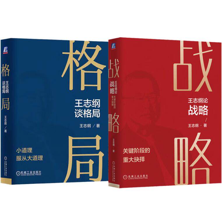 王志纲论战略+王志纲谈格局 套装全2册 王志纲著 战略认知管理  企业经营管理学书籍