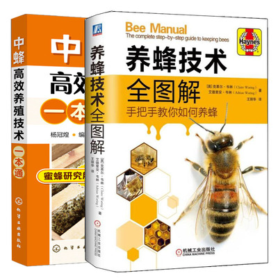 中蜂养殖技术图解手把手如何