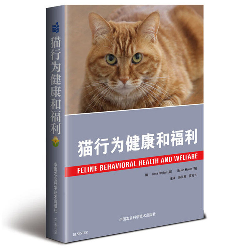 预售猫行为健康和福利