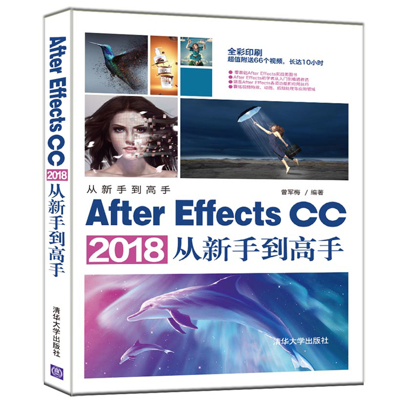 C1