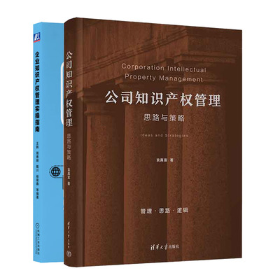 公司知识产权管理 思路与策略+企业知识产权管理实指南书籍