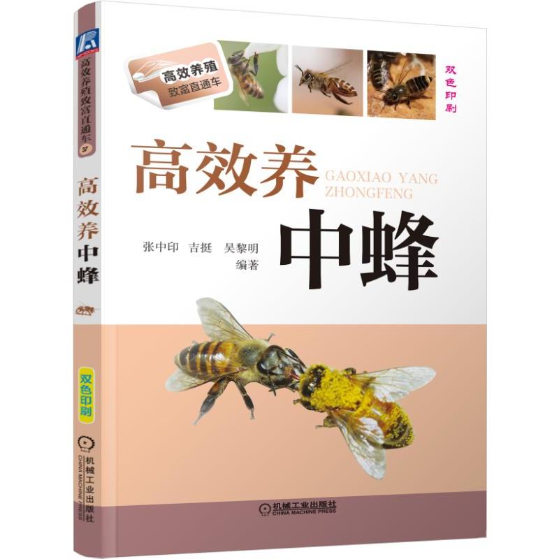 养中蜂 中蜂蜜蜂养殖技术书籍 养蜂实用书籍手册 中华蜂土蜂中蜂饲养新技术 农业科学养殖技术书籍 养蜂书籍