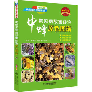 中蜂常見病敵害診治原色圖譜 等 中蜂病毒病細菌病原蟲病環境及遺傳因素引起 疾病敵蟲害及中蜂中毒預防診斷用藥指南圖書籍 任勤