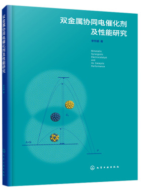 双金属协同电催化剂及性能研究 李作鹏 著 化学工业出版社9787122397461