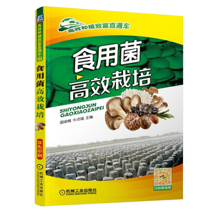 食用菌栽培 平菇 香菇 金针菇 蘑菇 草菇 滑菇 鸡腿菇 杏鲍菇种植技术 食用菌种植技术 现代生态农业种植栽培技术图书籍