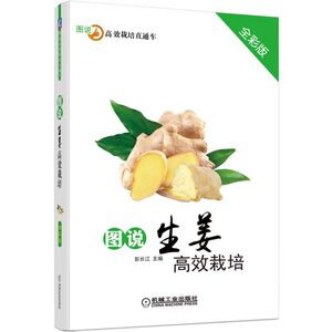 图说生姜栽培 生姜种植书籍 生姜栽培技术书 生姜露地栽培 生姜大棚栽培技术指导 生姜病虫害防治 蔬菜种植技术图书籍