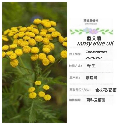 摩洛哥野生蓝艾菊精油激励修护过敏用油香薰舒缓面霜乳液芳疗按摩