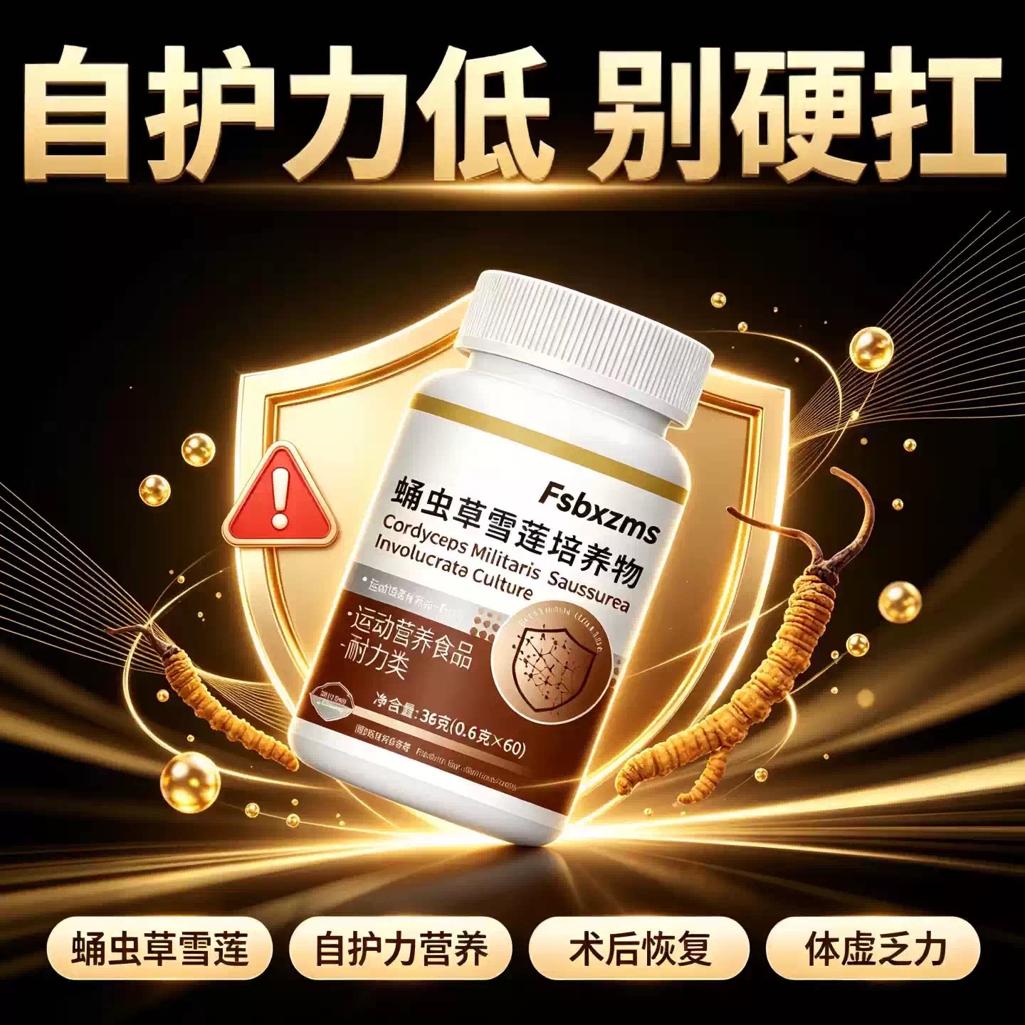 迈康蛹虫草中老年免疫力片