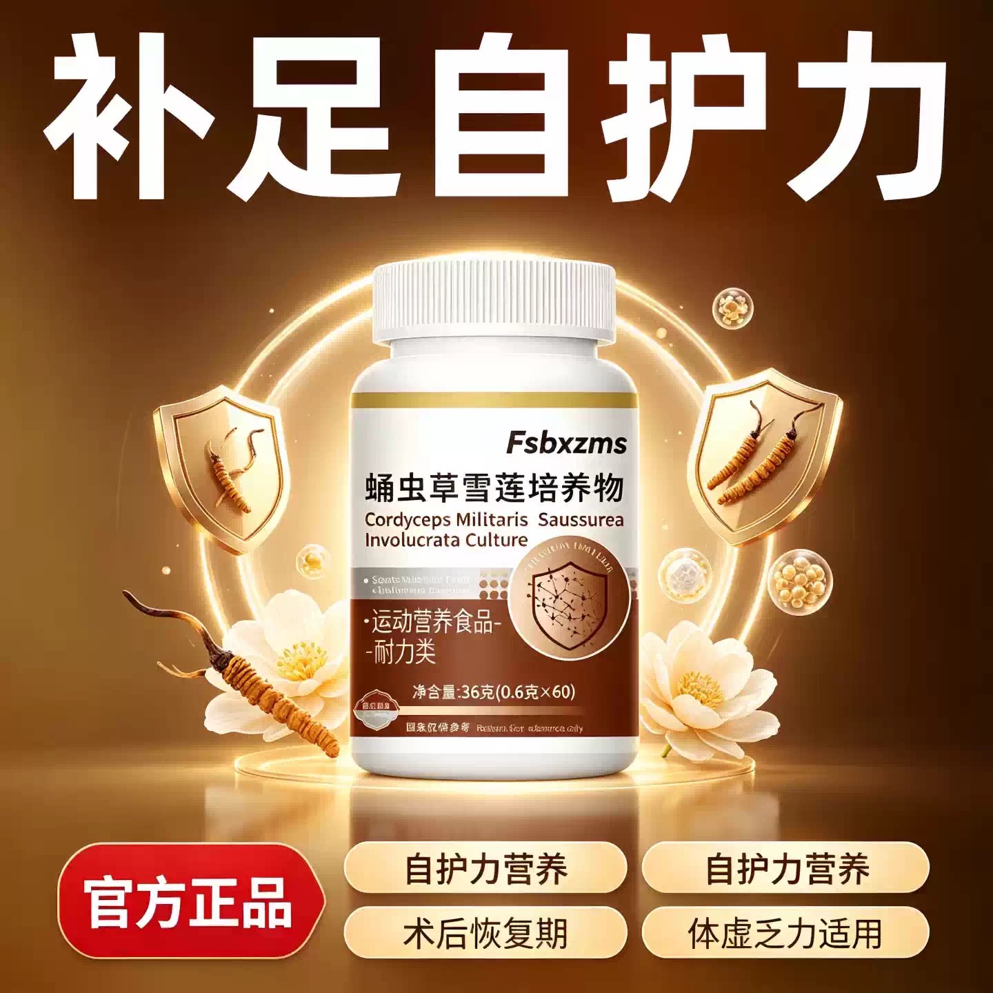 迈康蛹虫草中老年免疫力片