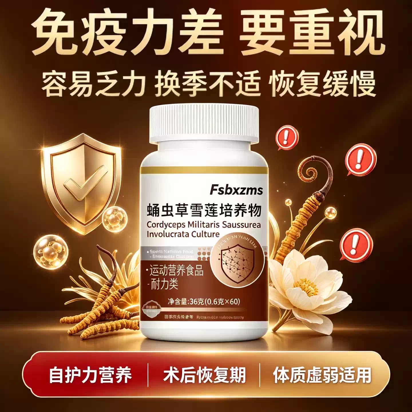 迈康蛹虫草中老年免疫力片