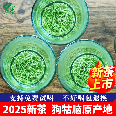 2025新茶特级绿茶绿茶江西遂川