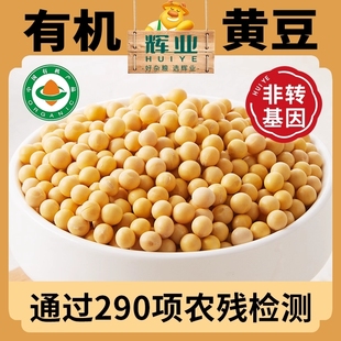 辉业东北有机黄豆非转基因打豆浆专用大豆农家自种新干大小可发芽