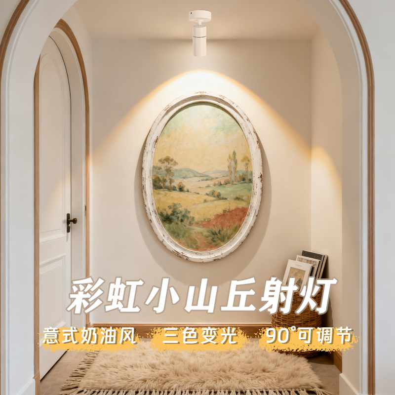 【赠运费险】射灯氛围灯