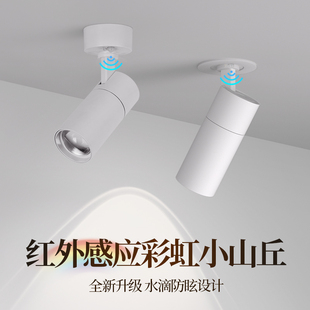 感应射灯入户门玄关迎宾人来即亮嵌入式明装吸顶灯彩虹小山丘筒灯
