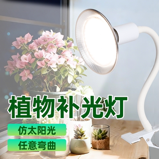 植物补光灯仿太阳全光谱夹式免布线任意弯曲室内家用花热植生长灯
