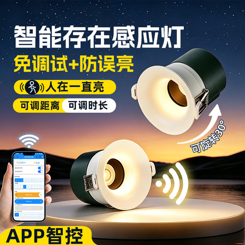 【1万+种草】智能存在长亮感应灯