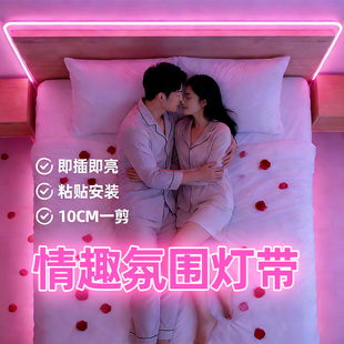 床战灯粉色灯带夫妻****房间床头房事插电式 自粘软灯条卧室氛围灯
