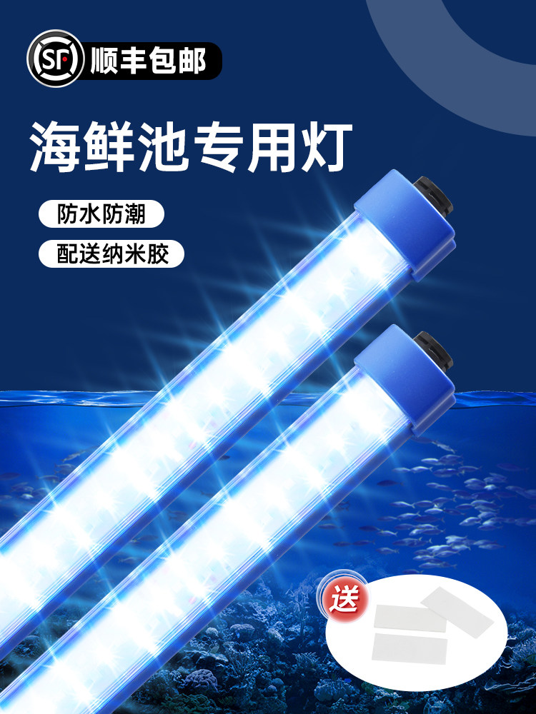 海鲜池专用灯鱼缸鱼池水产蓝灯免插装Led防水条灯