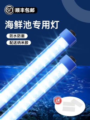 海鲜池专用灯鱼缸鱼池水产蓝灯免插装Led防水条灯