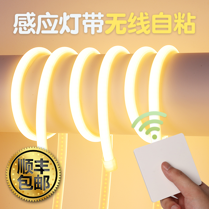 【顺丰包邮】+智能APP感应灯带