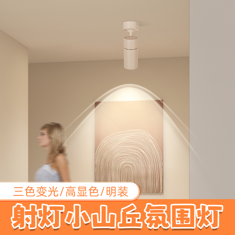 【赠运费险】射灯氛围灯