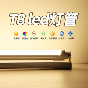 T8led灯管暖光白炽灯全套三色长条日光灯护眼高显色家用教室灯条