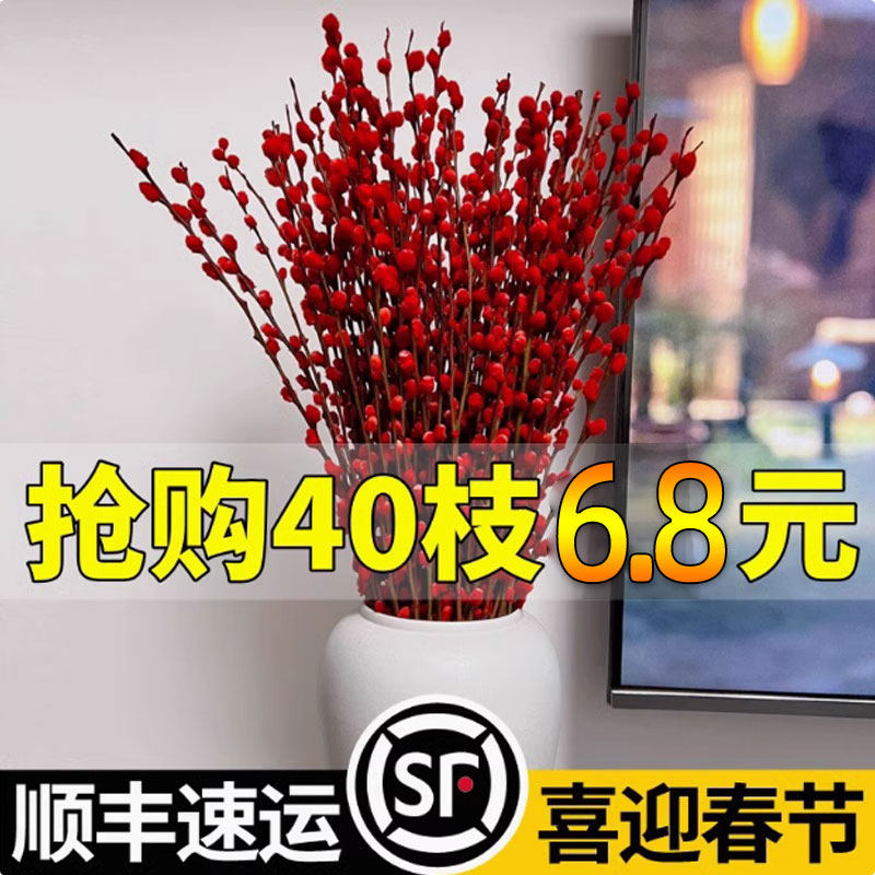 银柳真花鲜枝抱抱福桶喜庆年宵花卉盆栽室内红色干花水培植物雪柳,鲜花速递/花卉仿真/绿植园艺,干花,淘宝优惠券,粉丝福利购,淘宝优惠卷