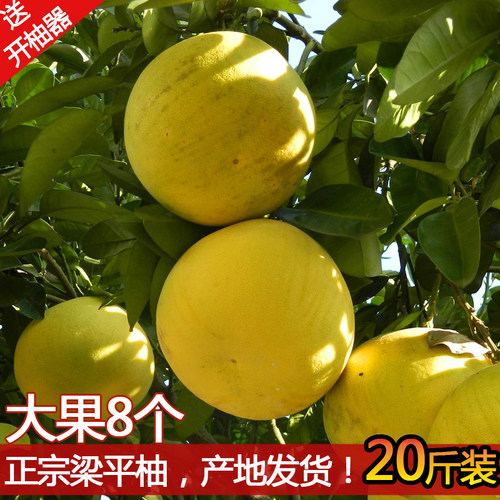 梁平土特产新鲜水果薄皮柚子