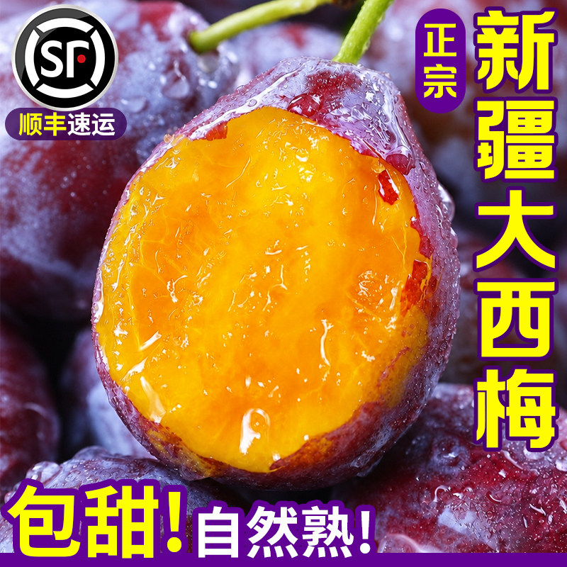 新疆西梅鲜果5斤新鲜水果当季整箱李子法兰西蓝蜜大西梅时令顺丰