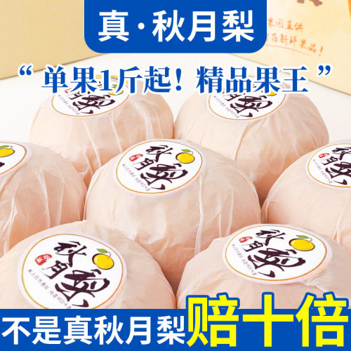 2025年新梨丨正宗山东莱阳秋月梨
