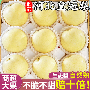 河北皇冠梨新鲜梨子9斤当季水果现摘砀山皇冠梨正宗雪梨整箱脆甜
