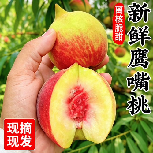 速发！连平鹰嘴桃9斤新鲜桃子