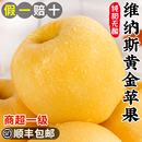 包邮 正宗维纳斯黄金苹果新鲜水果山东烟台旗舰店当季 整箱顺丰
