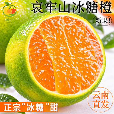 头茬！正宗哀牢山冰糖橙清甜多汁